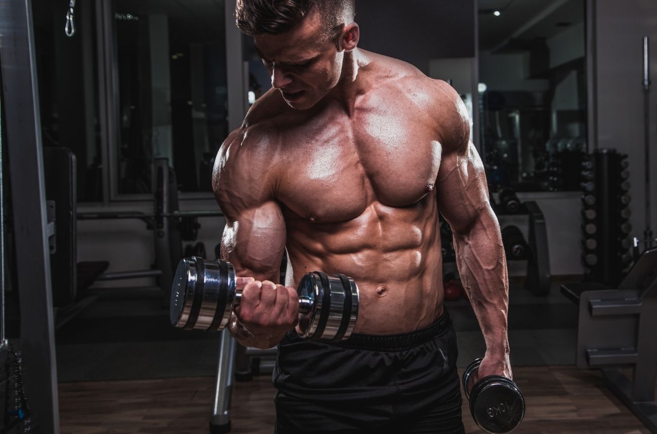 The 7 Best Arm Workout to Strengthen Your Arms cult.fit